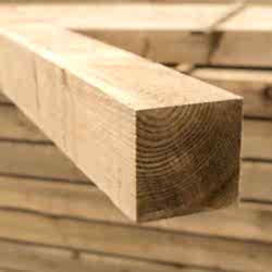 Treated fence posts 100 x 100