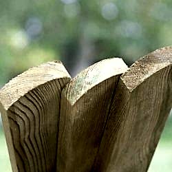 Round top picket pales 75mm wide