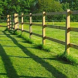 Square post and rail fencing.
