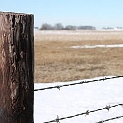 Barbed Wire Fencing