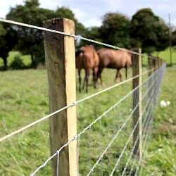 single strand line wire fencing