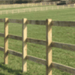 Post and rail fencing for agricultural use.