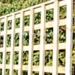 Quality Treated Square Trellis Panels