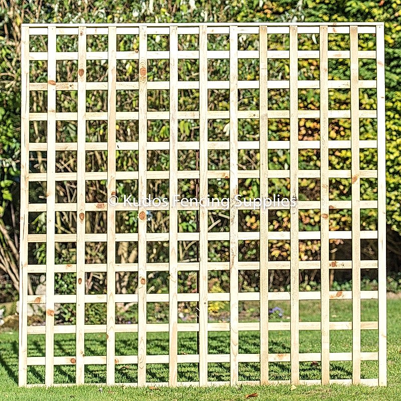 Square Trellis Panels