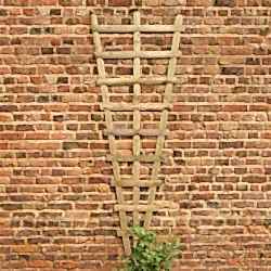 Wall Fan Trellis