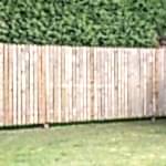 Wooden palisade fencing. Timber hit and miss fence.