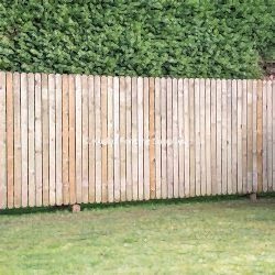 Wooden palisade fencing. Timber hit and miss fence.
