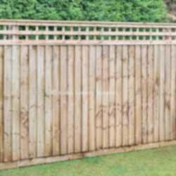 Trellis top closed board fencing with timber posts.