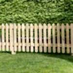Pointed top picket fencing. Wooden picket fence.